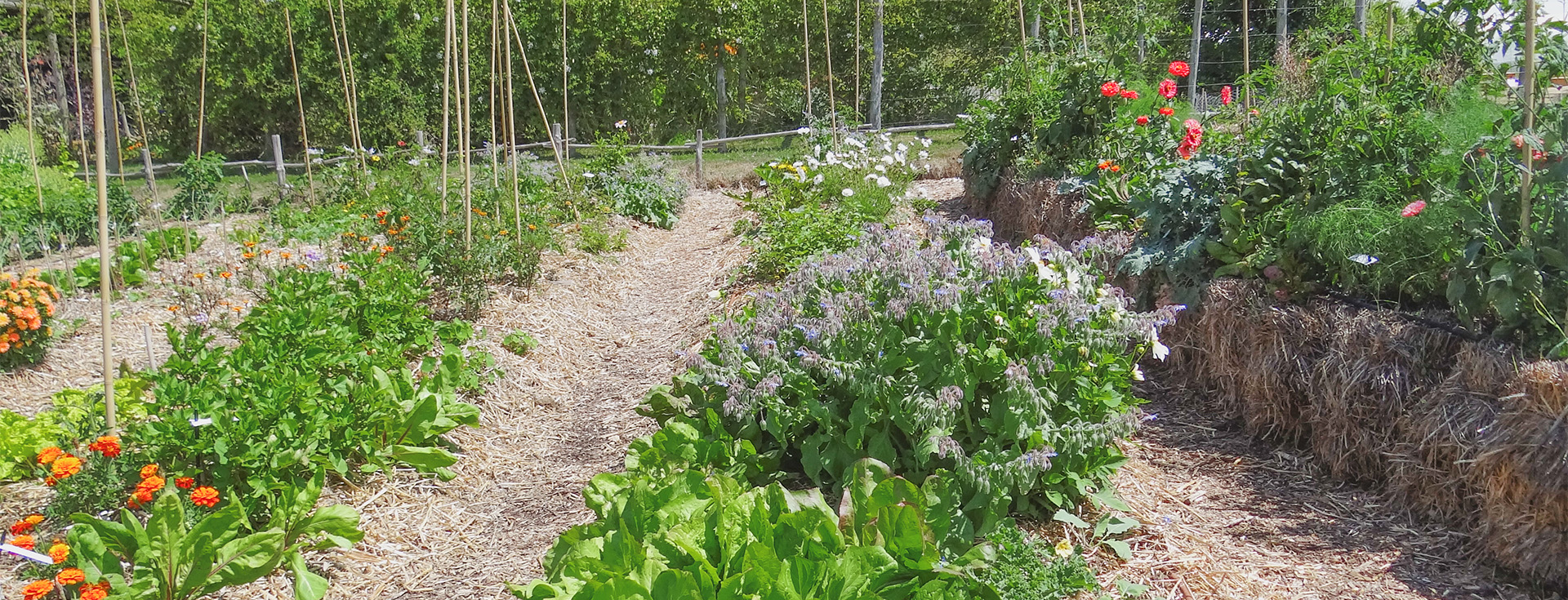 au plus proche de la nature au jardin extraordinaire