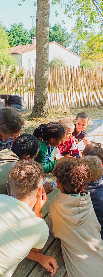 Campsite animation children vendee