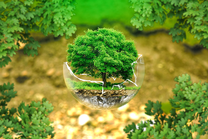 respect for the environment and ecological commitments