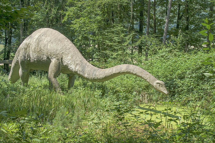 sur la piste des dinos