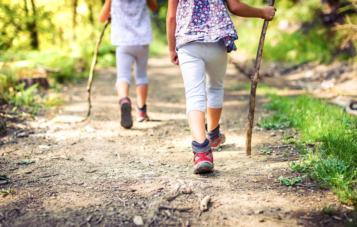 top des activites a faire en vendee pour votre sejour